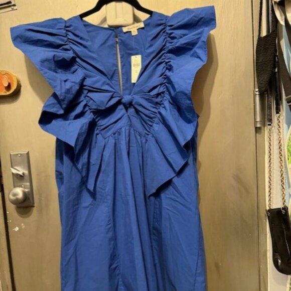 Ruffled Waistless Mini Bow Dress - Picture 9 of 16